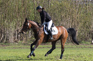 Vielseitigkeitsturnier RV Lippe-Bruch-Gahlen