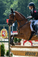 Goldene Schärpe 2021 - Ponys