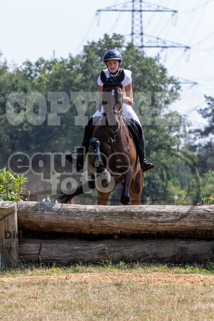 Late-Entry Vielseitigkeit Hamminkeln/Wesel (01.+02.08.2020)