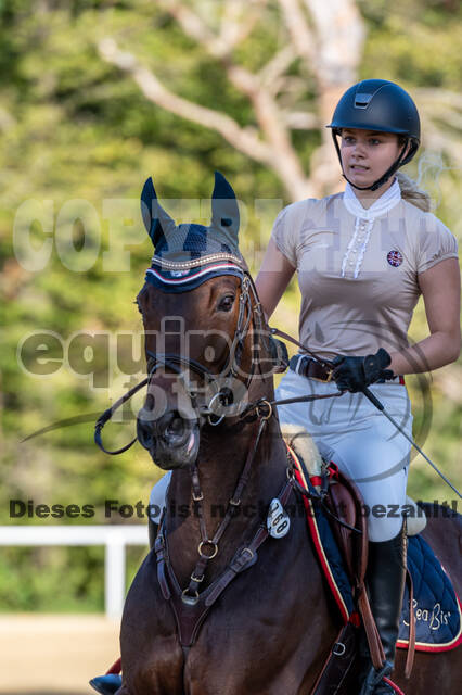 RFV Dinslaken-Hiesfeld (Herbstturnier)