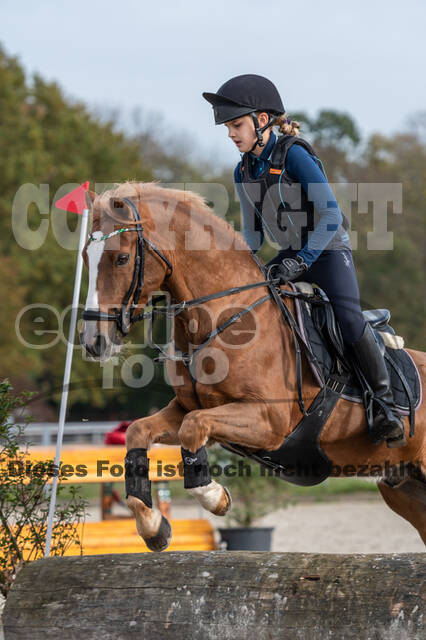 IGV Lehrgang der Sieger der Cups mit Frank Ostholt
