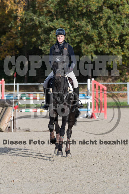 IGV Lehrgang der Sieger der Cups mit Frank Ostholt