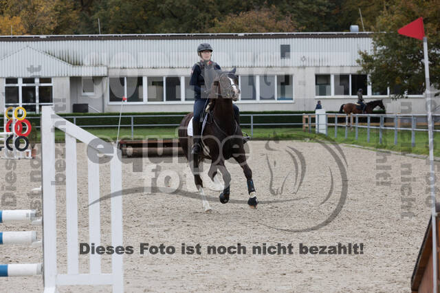 IGV Lehrgang der Sieger der Cups mit Frank Ostholt