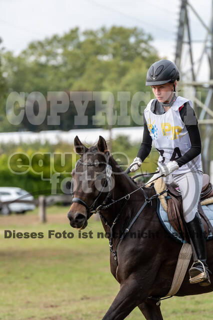 Vielseitigkeit RSV Wesel Obrighoven (26.+27.09.2020)