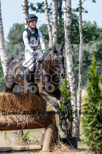 De Peelbergen (August 2020)