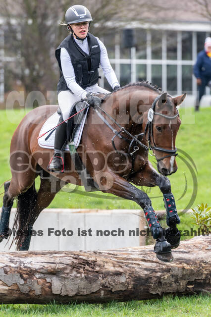 Goldene Schärpe 2020 - Pferde