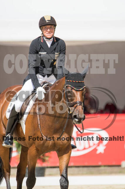 FEI European Championship Eventing 2017