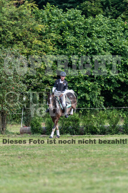 Goldene Schärpe 2021 - Ponys