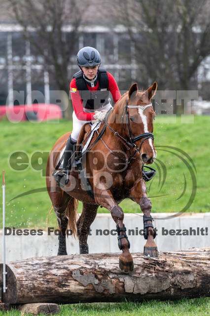 Goldene Schärpe 2020 - Pferde