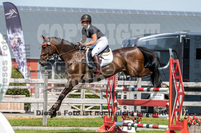 Kronenberg - De Peelbergen (August 2020)