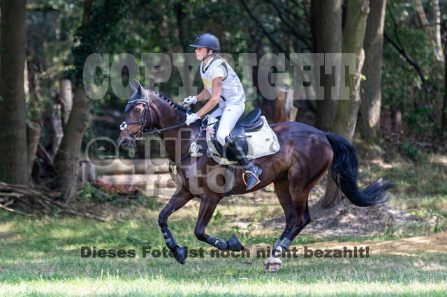 Late-Entry Vielseitigkeit Hamminkeln/Wesel (01.+02.08.2020)