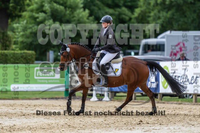 Goldene Schärpe 2021 - Ponys