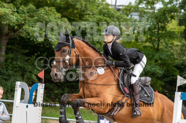 Late-Entry-Vielseitigkeit Langenfeld (06.+07.07.2020)