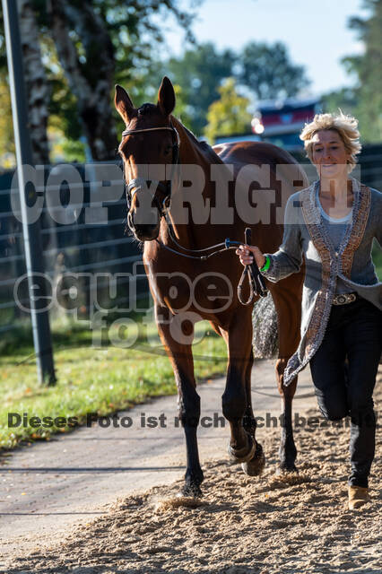 Deutsche Meisterschaft Vielseitigkeit (Luhmühlen)