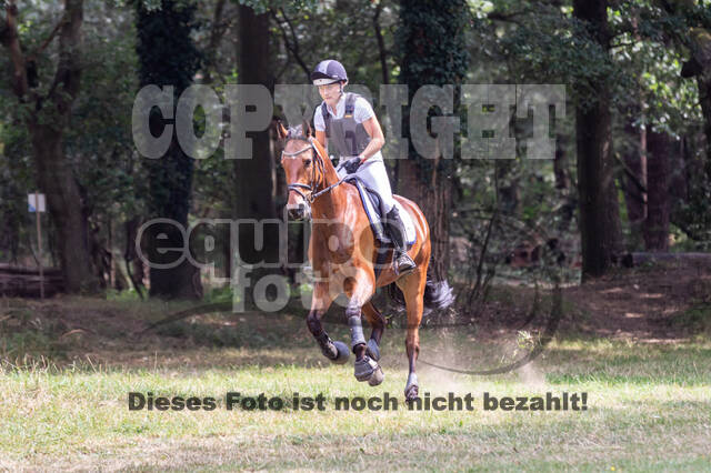 Late-Entry Vielseitigkeit Hamminkeln/Wesel (01.+02.08.2020)