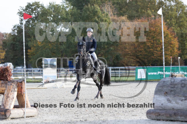 IGV Lehrgang der Sieger der Cups mit Frank Ostholt