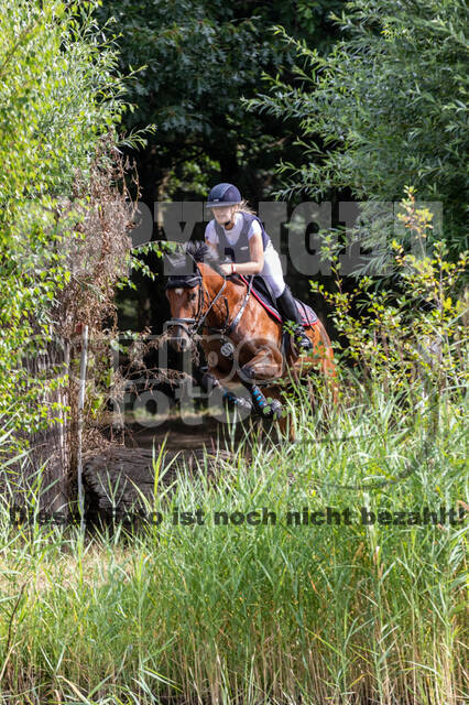 Late-Entry Vielseitigkeit Hamminkeln/Wesel (01.+02.08.2020)