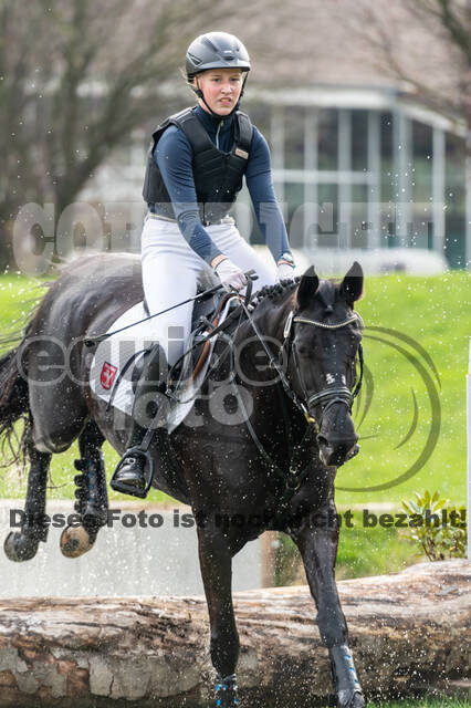 Goldene Schärpe 2020 - Pferde