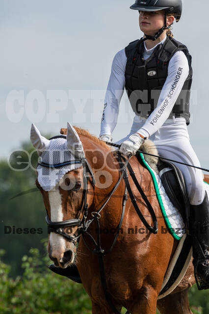 Goldene Schärpe 2021 - Ponys