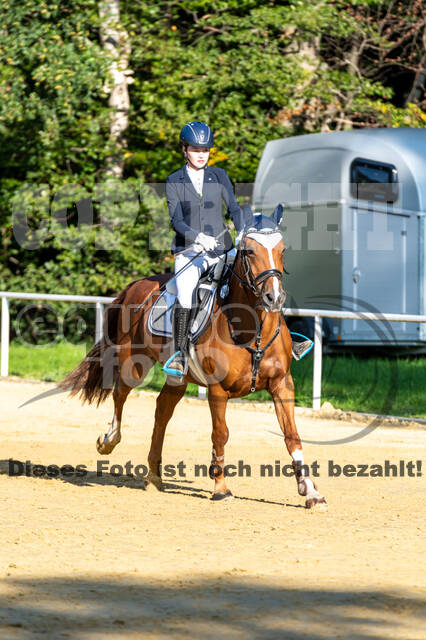 RFV Dinslaken-Hiesfeld (Herbstturnier)
