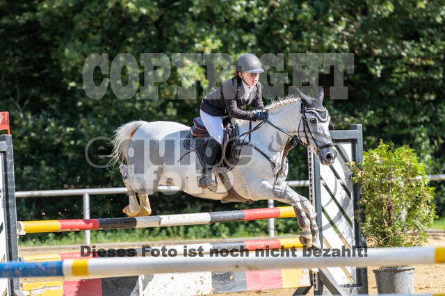 RFV Dinslaken-Hiesfeld (Herbstturnier)