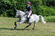Goldene Schärpe 2021 - Ponys