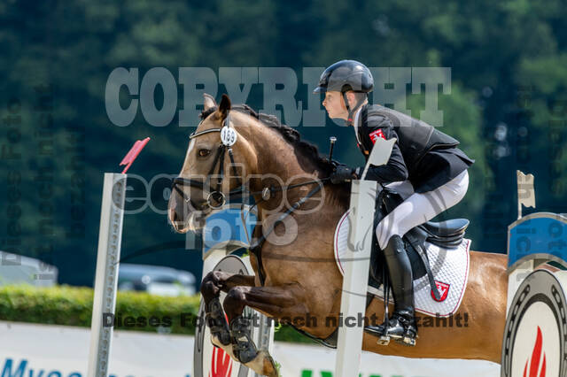 Goldene Schärpe 2021 - Ponys