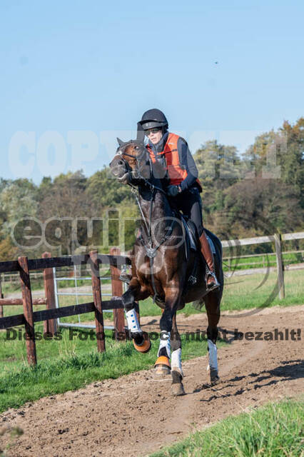 Vielseitigkeitslehrgang mit Jürg Kurbel (9.+10.11.2019)