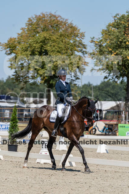 Kronenberg - De Peelbergen (August 2020)