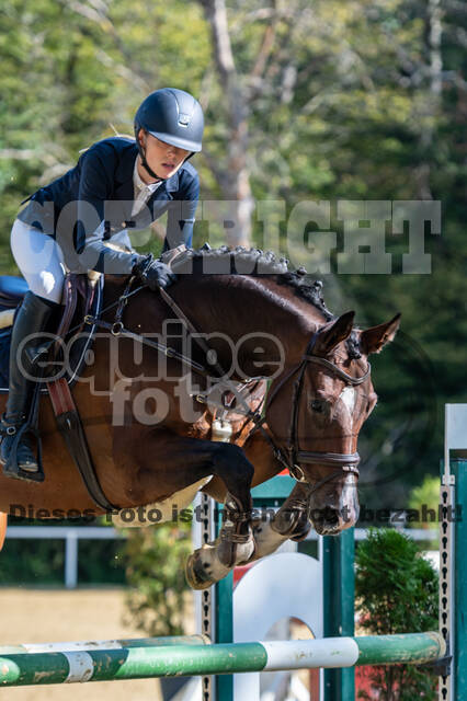 RFV Dinslaken-Hiesfeld (Herbstturnier)