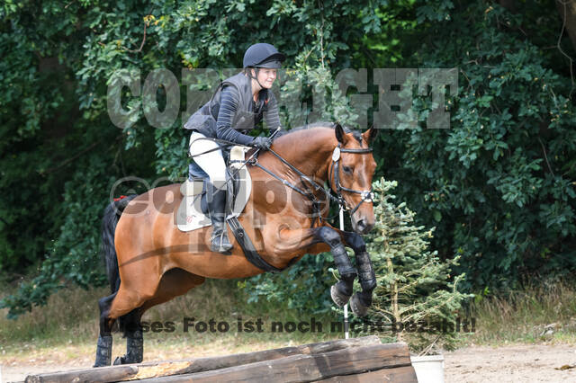 Late-Entry-Vielseitigkeit Langenfeld (11.+13./14.06.2020)