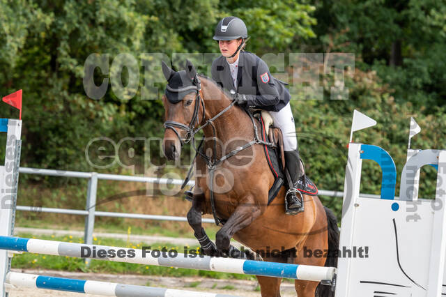 Late-Entry-Vielseitigkeit Langenfeld (06.+07.07.2020)