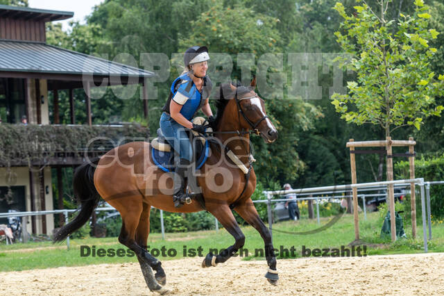 Hunter Geländetraining 10.07.2021 (Sonsbeck)