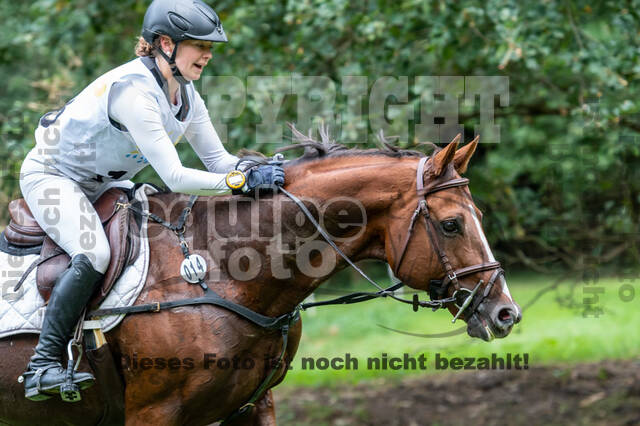 Vielseitigkeit RSV Wesel Obrighoven (26.+27.09.2020)