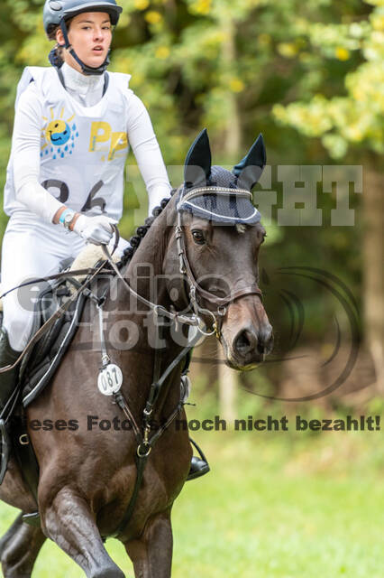 Vielseitigkeit RSV Wesel Obrighoven (26.+27.09.2020)