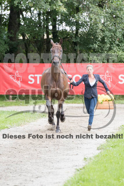 FEI European Championship Eventing 2017