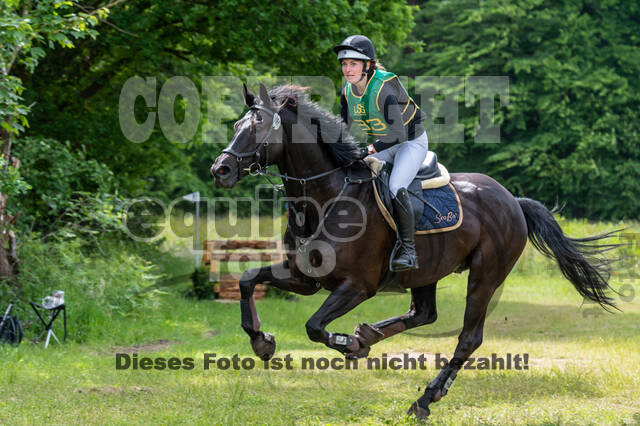 Westerstede Horse Trials (10.-13.06.2021)
