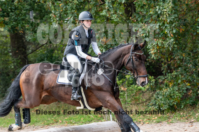 Goldene Schärpe 2020 - Pferde