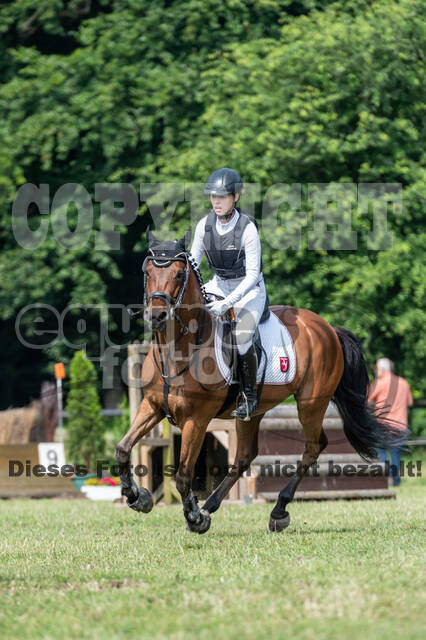 Goldene Schärpe 2021 - Ponys