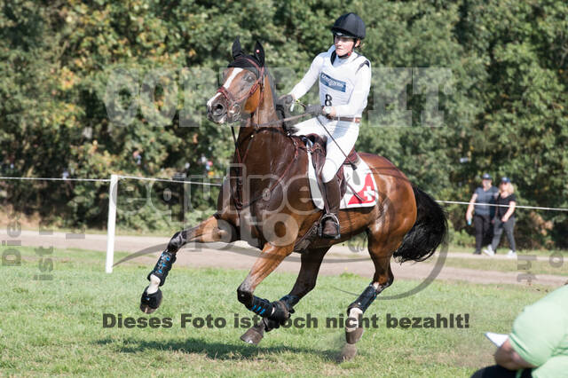 FEI European Championship Eventing 2019