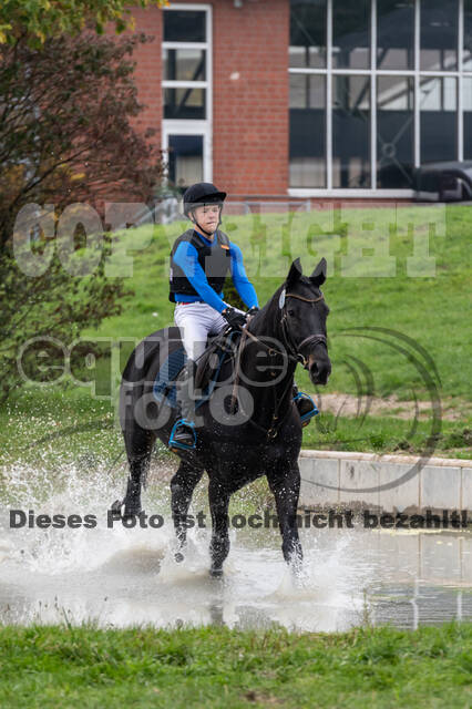 Goldene Schärpe 2020 - Pferde