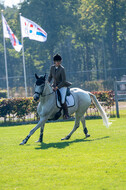 De Peelbergen (August 2020)