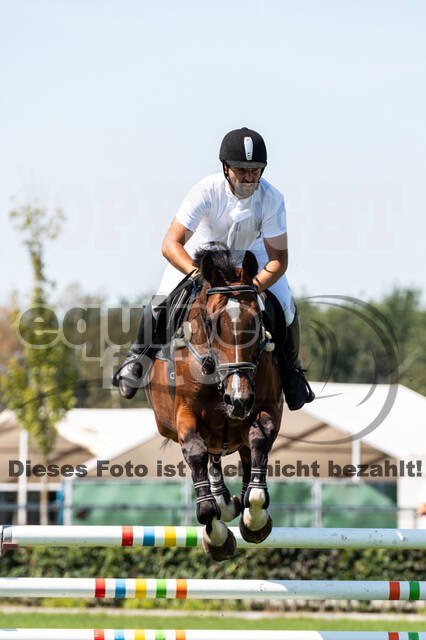 Kronenberg - De Peelbergen (August 2020)