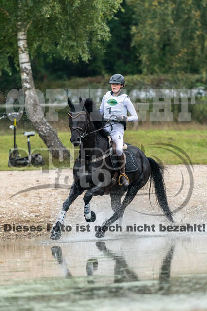 Deutsche Meisterschaft Vielseitigkeit (Luhmühlen)