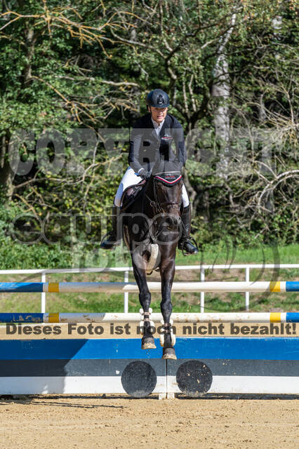 RFV Dinslaken-Hiesfeld (Herbstturnier)