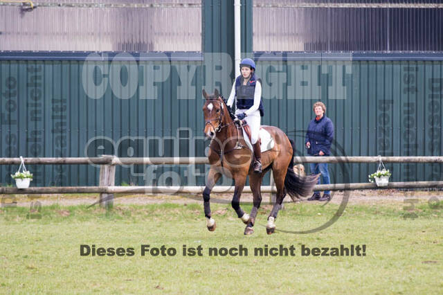 Jungpferdetag Hamminkeln