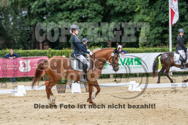 Goldene Schärpe 2021 - Ponys