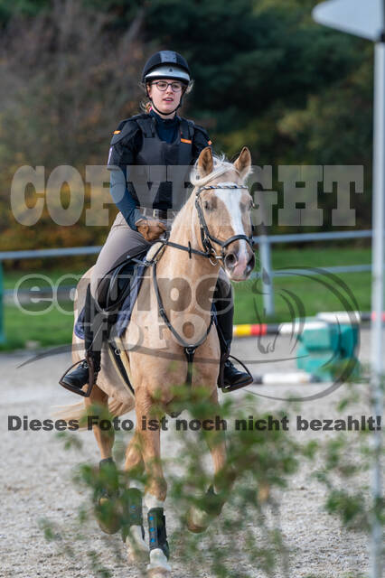IGV Lehrgang der Sieger der Cups mit Frank Ostholt