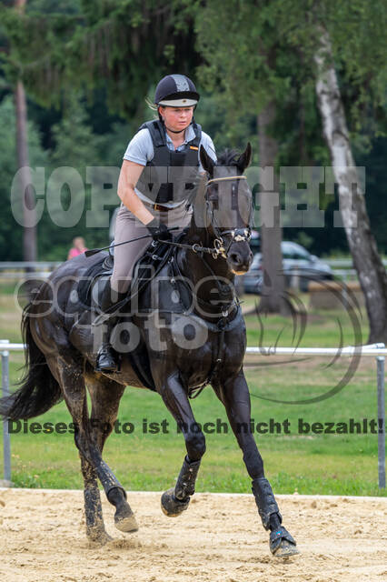 Hunter Geländetraining 10.07.2021 (Sonsbeck)