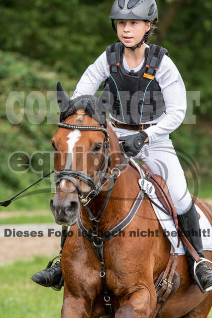 Late-Entry-Vielseitigkeit Langenfeld (06.+07.07.2020)